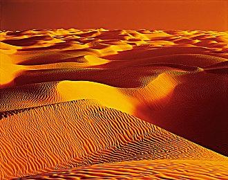 《孤岛危机复刻版三部曲》PS3 Vs.PS5视频 画面大改进