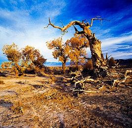 《奥力奥力世界》新预告展示 驰骋拉德兰迪亚